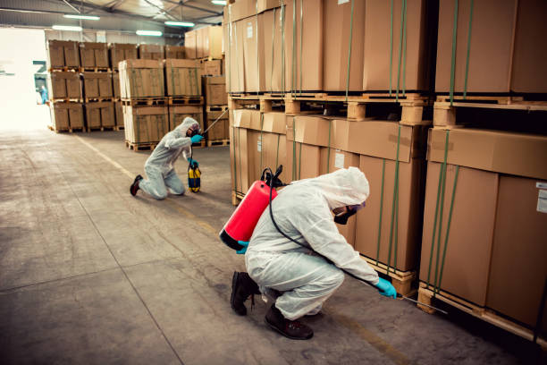 Best Affordable Pest Control Services  in Springfield, MN