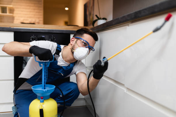 Professional Pest Control in Springfield, MN