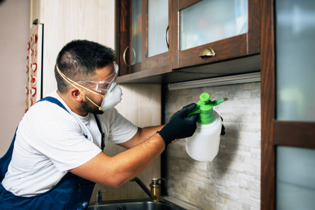 Best Best Pest Control Companies  in Springfield, MN