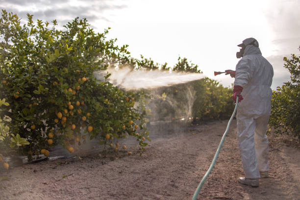 Best Pest Control Near Me  in Springfield, MN