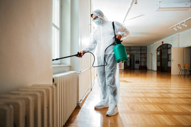 Best Insect Control  in Springfield, MN