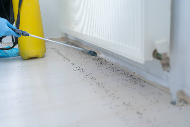  Springfield, MN Pest Control Pros